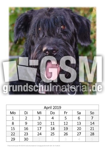 April_Riesenschnauzer.pdf